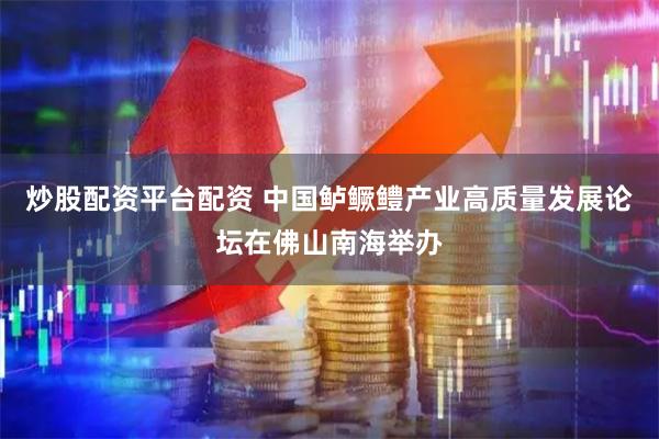 炒股配资平台配资 中国鲈鳜鳢产业高质量发展论坛在佛山南海举办