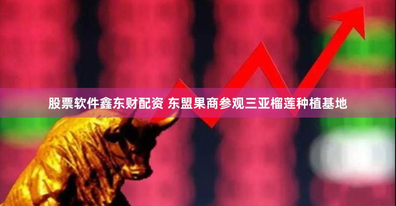 股票软件鑫东财配资 东盟果商参观三亚榴莲种植基地
