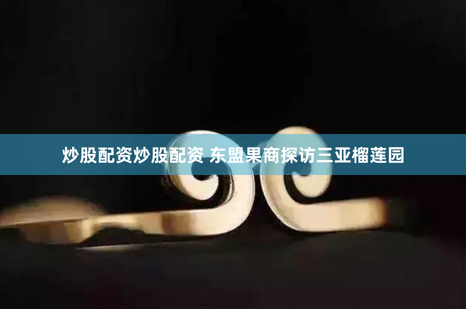 炒股配资炒股配资 东盟果商探访三亚榴莲园